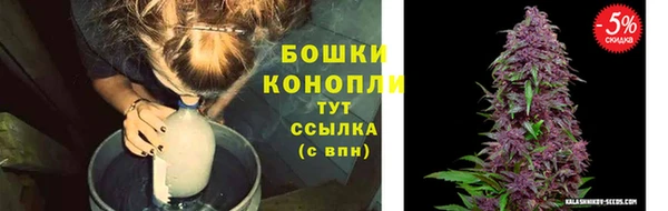 каннабис Алексеевка