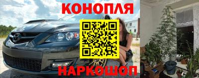 прущие грибы Рыбинск