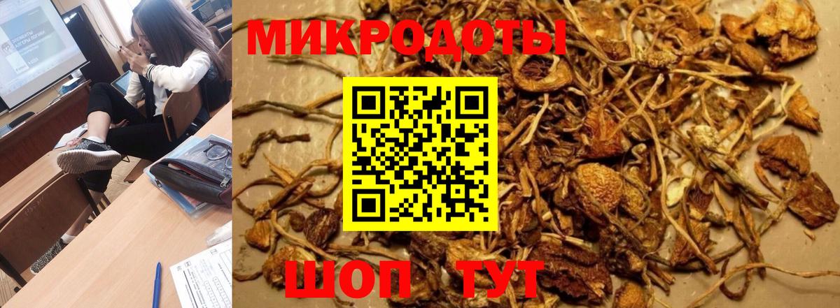 Псилоцибиновые грибы мухоморы  Вход с VPN  Галлюциногенные грибы прущие грибы  Тайшет 