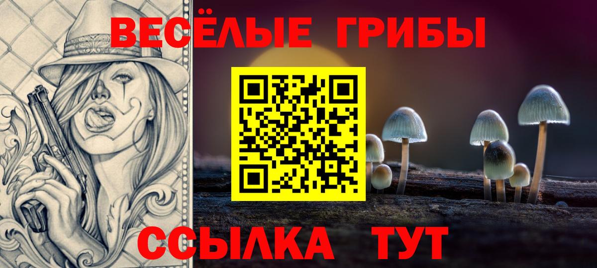 Псилоцибиновые грибы Cubensis Тайшет