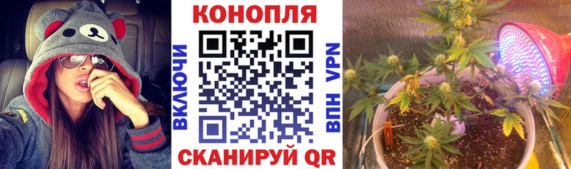 Шишки марихуана семена  Тайшет 